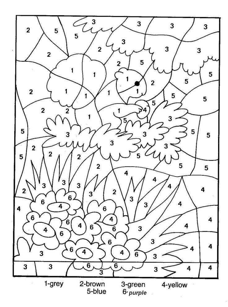 Coloring Pages Printable Color By Number For Adults 