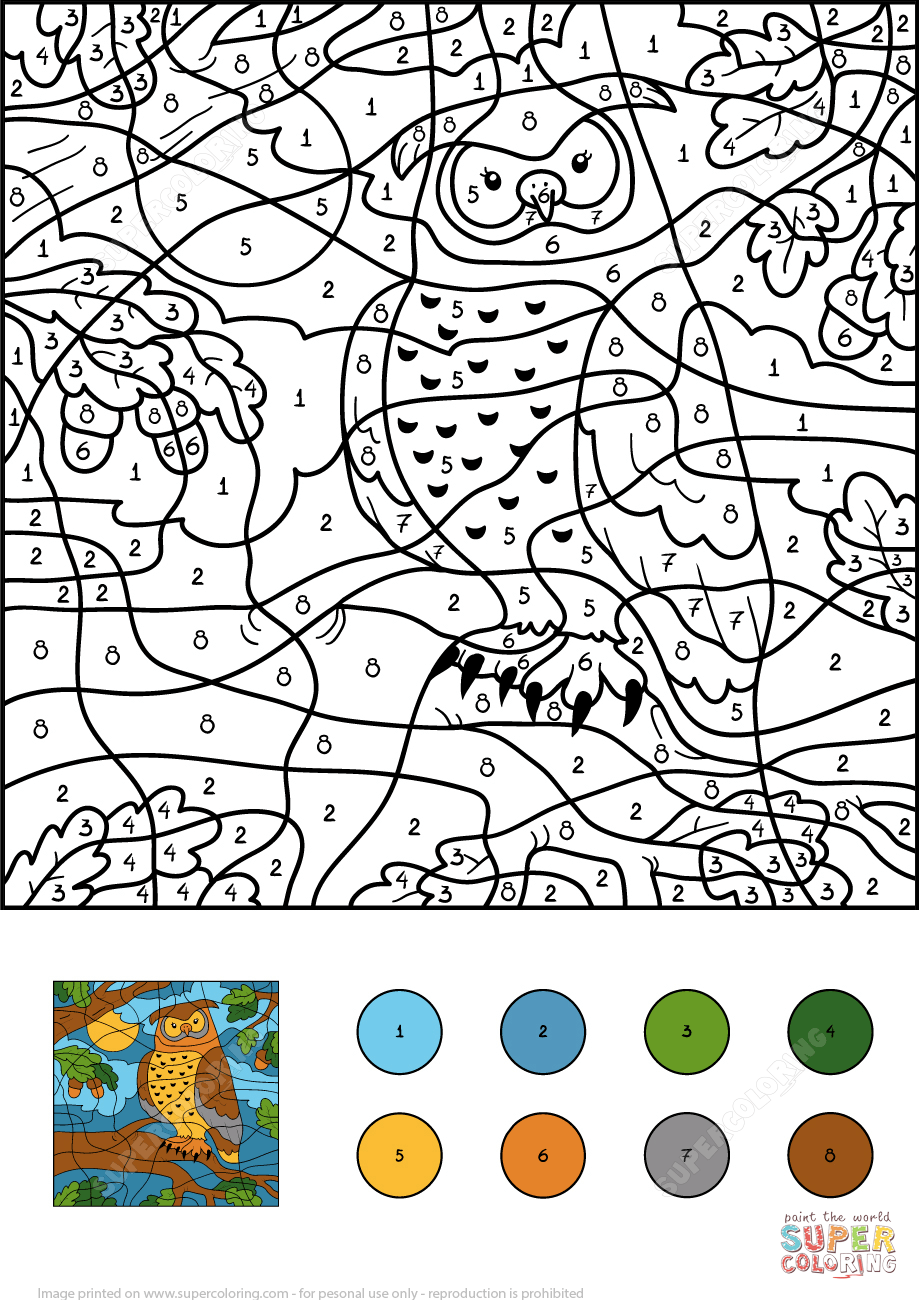 Owl Color By Number Free Printable Coloring Pages