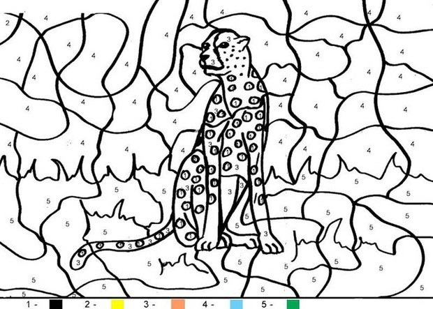 Tiger Coloring Pages Hellokids