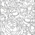 Welcome To Dover Publications Creative Haven Floral