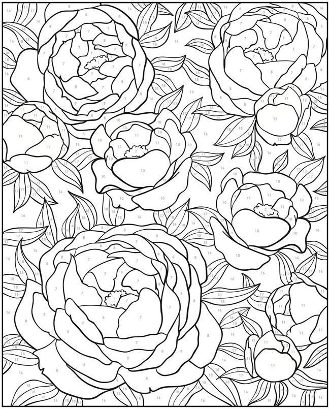 Welcome To Dover Publications Creative Haven Floral 