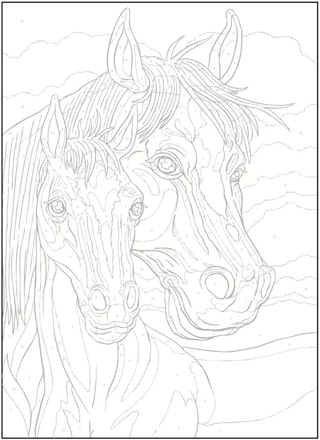 Welcome To Dover Publications Creative Haven Horses 
