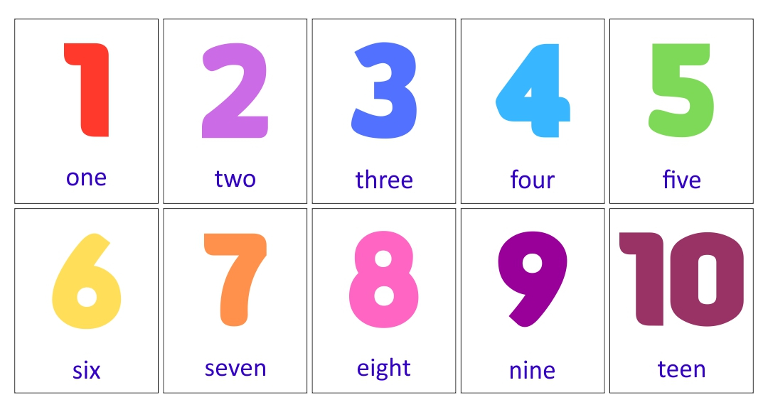 10 Best Number Flashcards 1 100 Printable Printablee