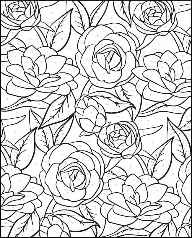 2 Of 4 Color By Number Floral Edition Coloring Pages 