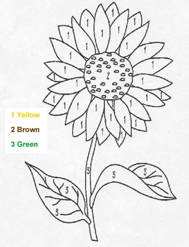 8 Flower Color By Number Worksheets KittyBabyLove 8 Flower Color By Number Worksheets KittyBabyLove
