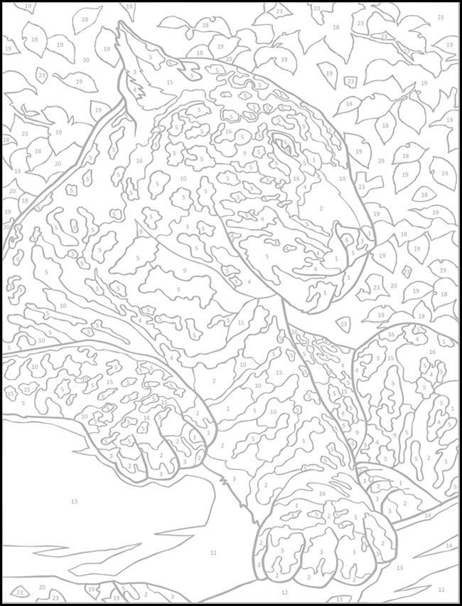 Advanced Color By Number Coloring Pages At GetColorings 