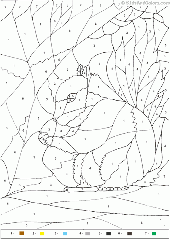 Animal color by number Color by number squirrel Coloring Pages