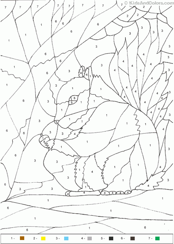 Animal Color By Number Color By Number Squirrel Coloring Pages Animal color by number Color by number squirrel Coloring Pages