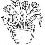 Color By Number Flower Coloring Pages At GetColorings