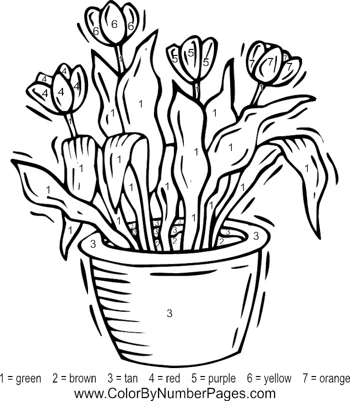 Color By Number Flower Coloring Pages At GetColorings 