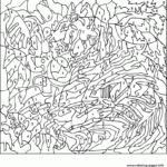 Color By Numbers For Adults Coloring Pages Printable