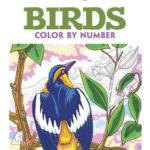 Creative Haven Birds Color By Number Coloring Book By