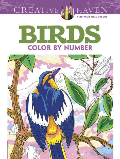Creative Haven Birds Color By Number Coloring Book By Creative Haven Birds Color By Number Coloring Book By