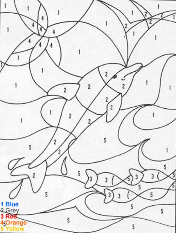 Dolphin Coloring Pages Hellokids