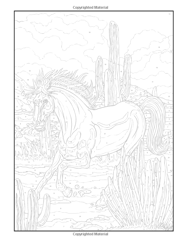 Dover Publications On Amazon Creative Haven Horses Color 