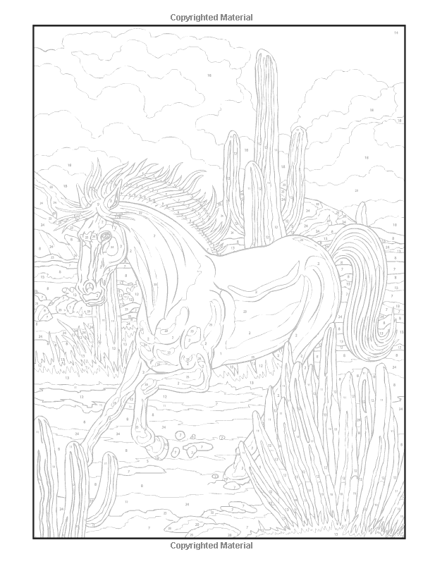 Dover Publications On Amazon Creative Haven Horses Color Dover Publications On Amazon Creative Haven Horses Color