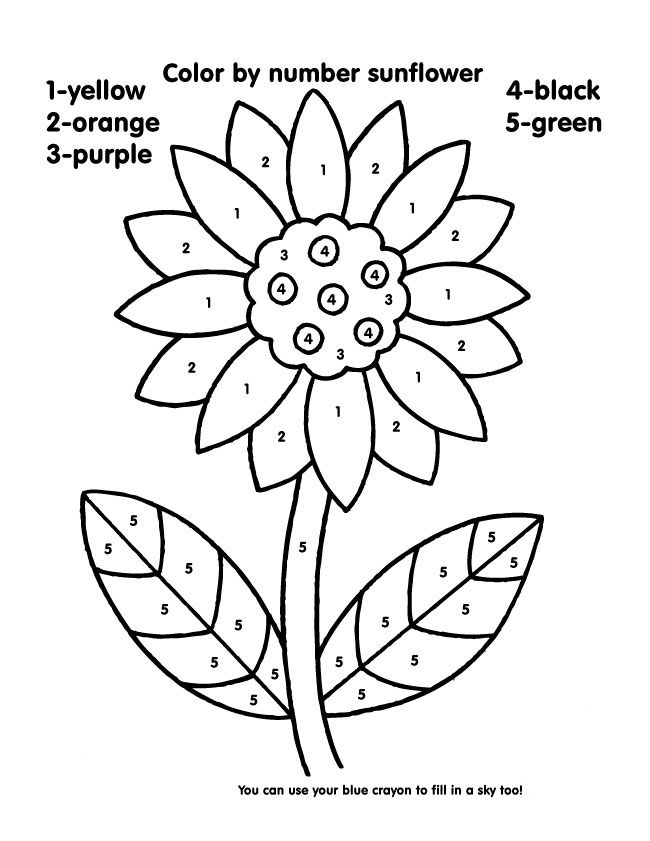 Free Printable Color By Number Coloring Pages Sunflower 