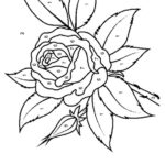 Free Printable Rose Color By Number Coloring Picture