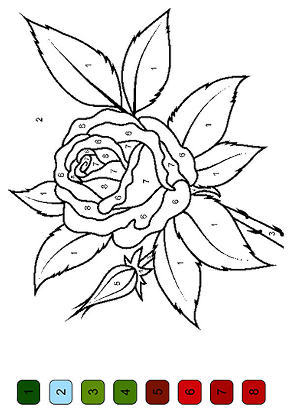 Free Printable Rose Color By Number Coloring Picture