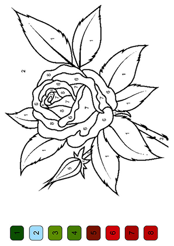 Free Printable Rose Color By Number Coloring Picture 