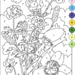 Nicole s Free Coloring Pages COLOR BY NUMBERS FLOWERS