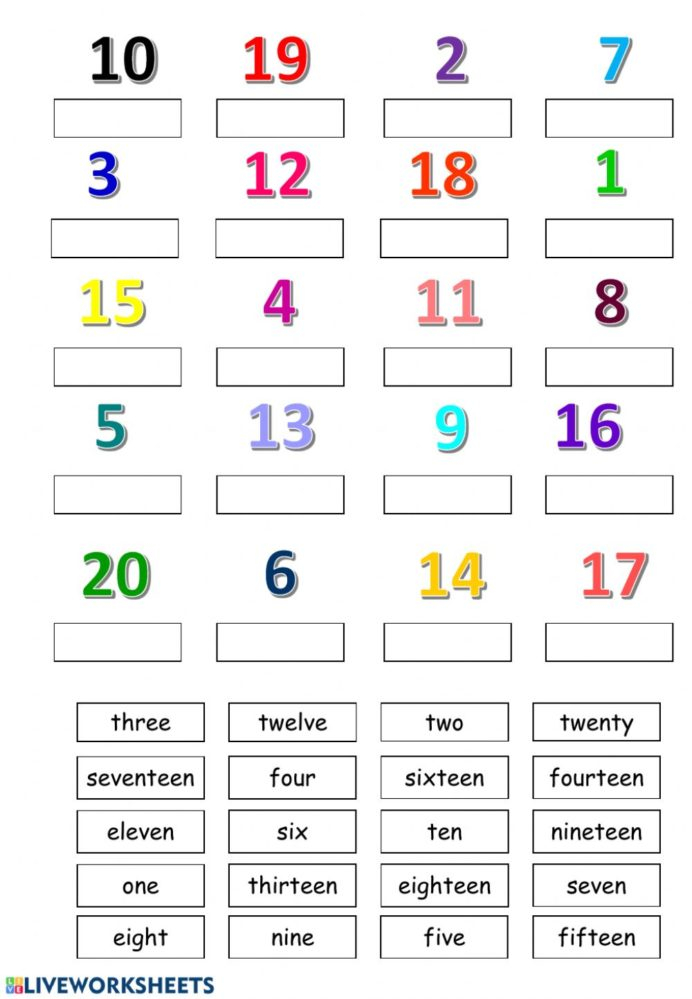 Numbers Worksheet Pdf Worksheets Printable Preschool Age 