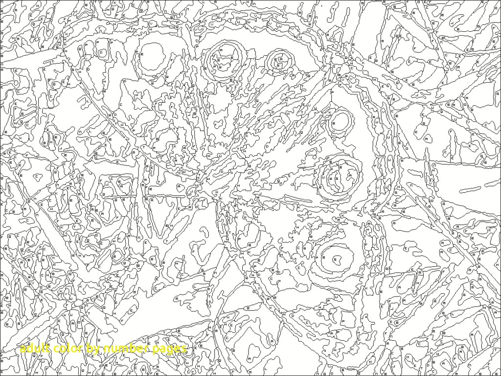 Printable Color By Number Coloring Pages For Adults At 