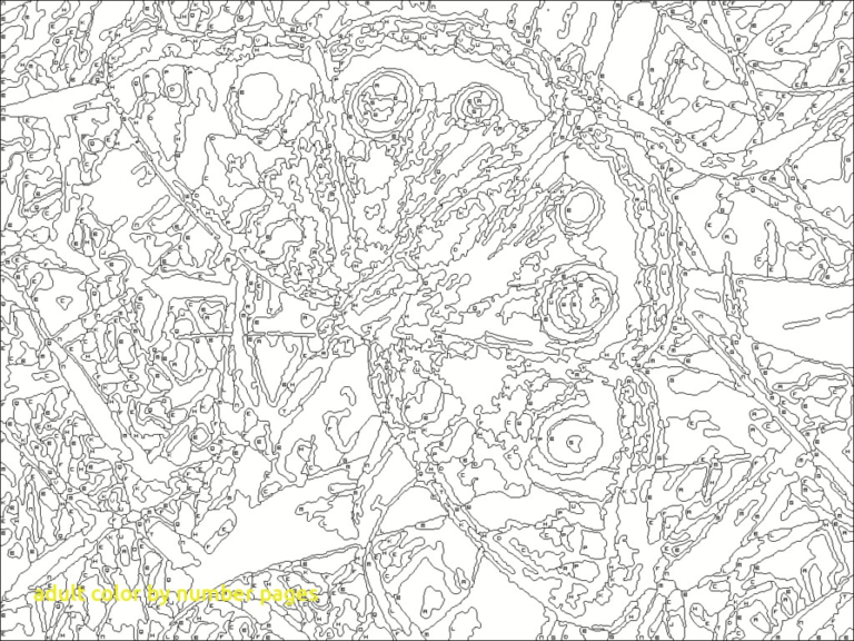 Printable Color By Number Coloring Pages For Adults At