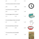 Quiz About Numbers Worksheet Free ESL Printable