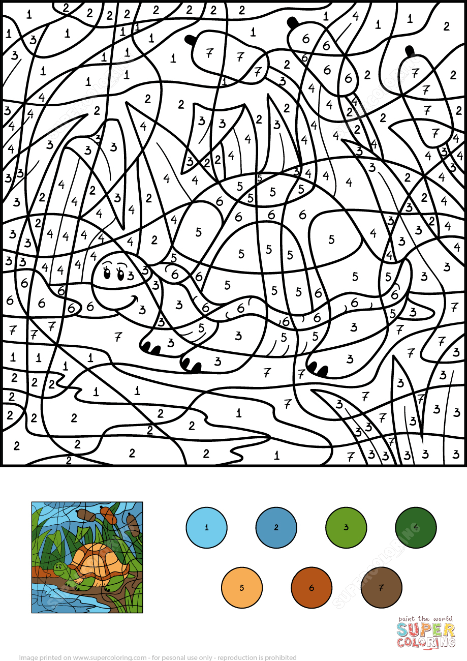 Turtle In Pond Color By Number Free Printable Coloring Pages Turtle In Pond Color By Number Free Printable Coloring Pages