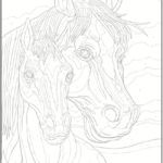 Welcome To Dover Publications Creative Haven Horses