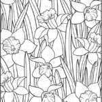 Welcome To Dover Publications Flower Drawing Design