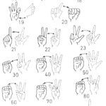 Asl Numbers 1 20 Printable That Are Witty Wright Website