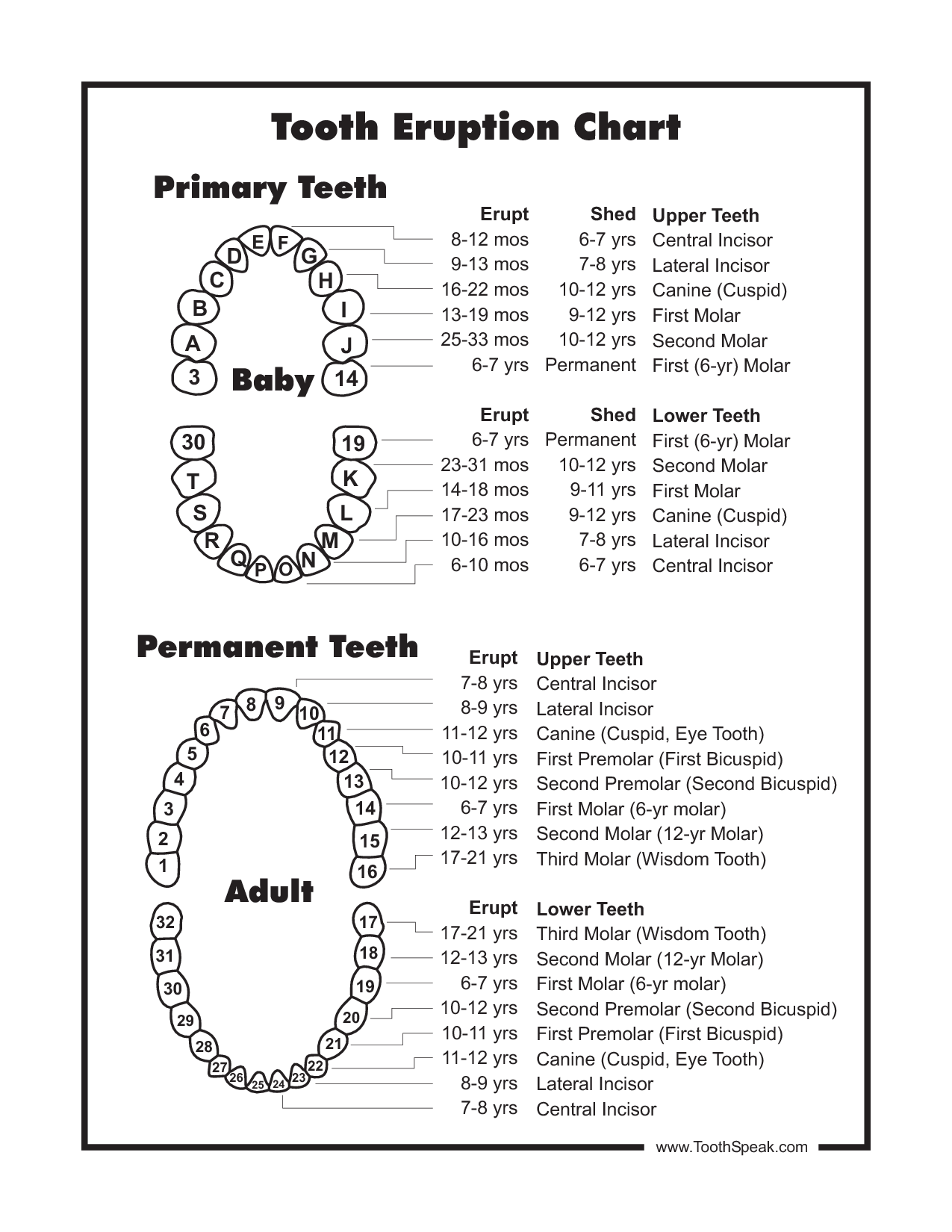 Baby Tooth Chart Letters Check More At Http 