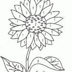 Coloring Activity Pages Sunflower Color by Number