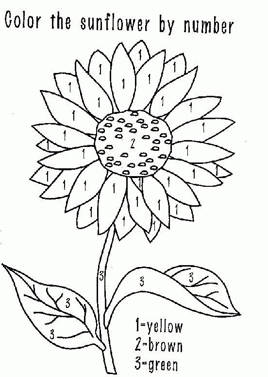 Coloring Activity Pages Sunflower Color by Number