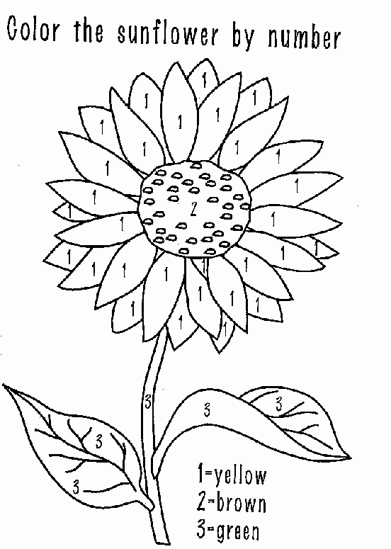Coloring Activity Pages Sunflower Color By Number Coloring Activity Pages Sunflower Color by Number