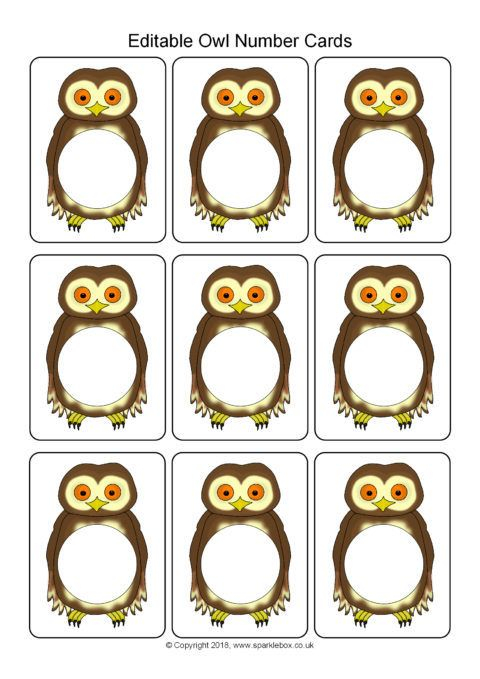 Editable Owl Number Cards Template SB12430 SparkleBox 