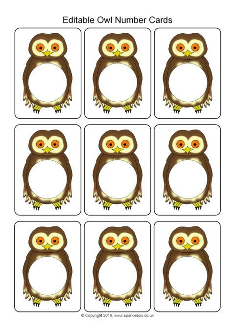 Editable Owl Number Cards Template SB12430 SparkleBox Editable Owl Number Cards Template SB12430 SparkleBox