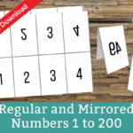 Facebook Live Numbers Cards Reverse Forward Mirrored 1 To 200