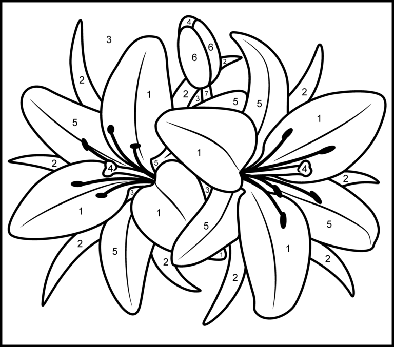 Lily Printable Color By Number Page Kolorowanki Wzory 
