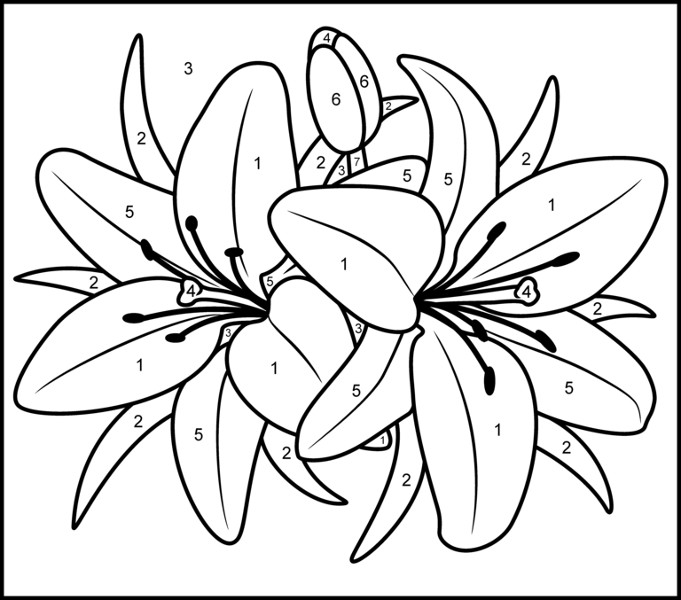 Lily Printable Color By Number Page Kolorowanki Wzory