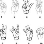 Sign Language Test Playbuzz