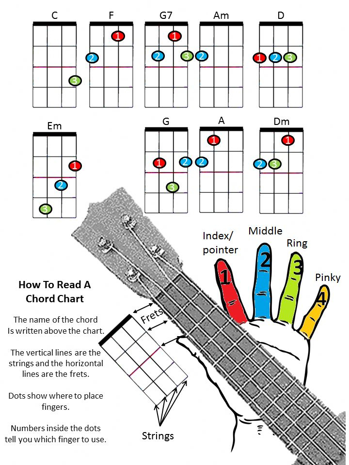 Ukulele Color Chart Available In Color Black And White 