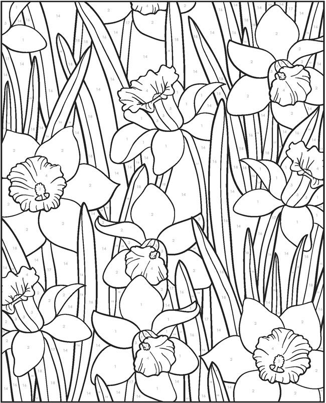 Welcome To Dover Publications Flower Coloring Pages 