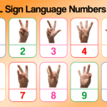 10 Best Sign Language Numbers 1 100 Chart Printables