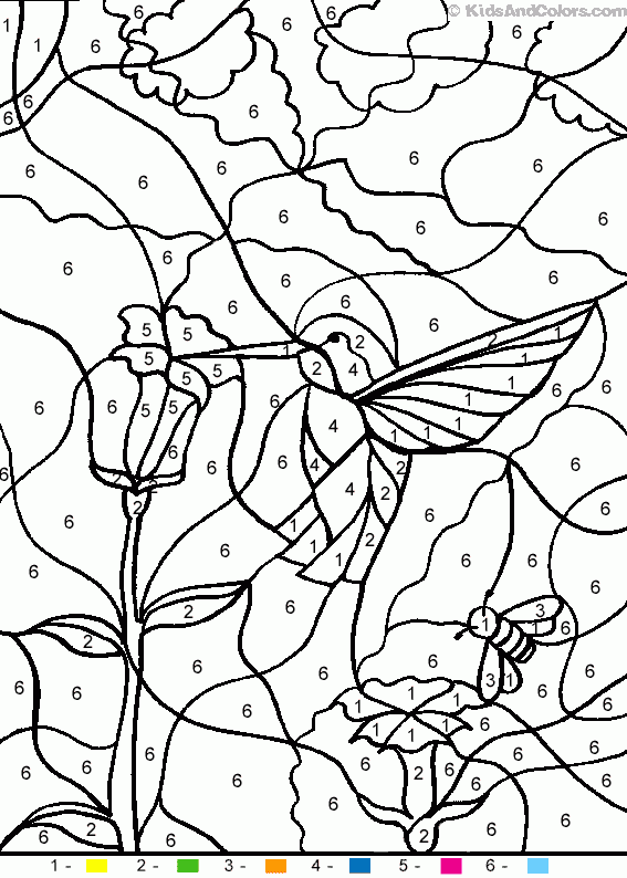 Animal Color By Number Color By Number Hummingbird Animal color by number Color by number hummingbird