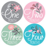 Baby Monthly Milestone Stickers 12 Stickers Floral