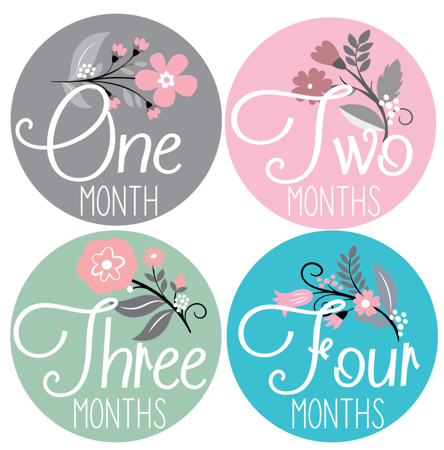 Baby Monthly Milestone Stickers 12 Stickers Floral 