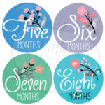 Baby Monthly Milestone Stickers 12 Stickers Floral